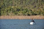 canoa24