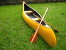 canoa50